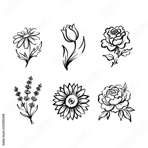 Flower Illustration Icon Set in Brush Outline