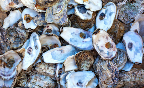 Photography Fresh, open oysters in shells, close‑up shot from above.