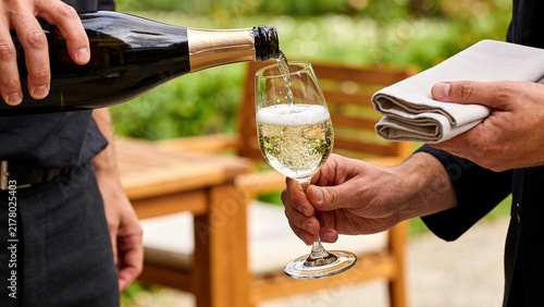 Pouring Sparkling Beverage into Wine Glass at Outdoor Gathering