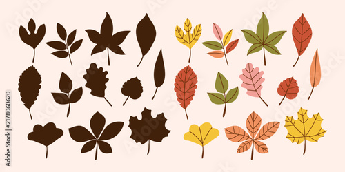 Autumn fall leaves silhouette set. Autumn black and colorful leaves, maple, acorn, oak, vine leaves, elm leaf . Simple fall leaf set for pattern, banner, sticker autumn card. Flat vector illustration.