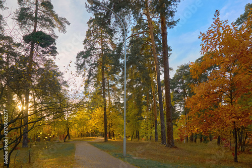 Golden October.Autumn empty tiled path in a city public park