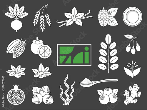Superfood and Natural Ingredient Line Art Icon Set for Health and Wellness Design