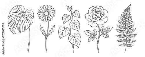 Botanical Line Art: A collection of five distinct botanical illustrations featuring a monstera leaf, daisy, vine, rose, and fern, presented in a clean, elegant line drawing style.