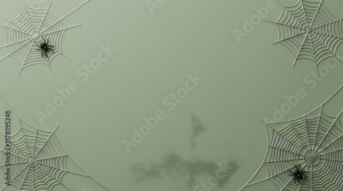 Halloween A spider web corner frame design with small spiders against a pale green background arachnid