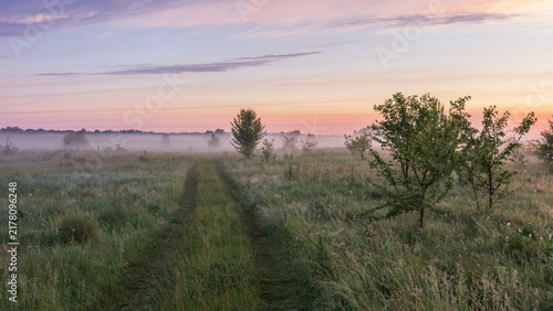 Fotografie a misty rural landscape at sunrise, where a narrow dirt track cuts through dewy green grass under a colorful pastel sky