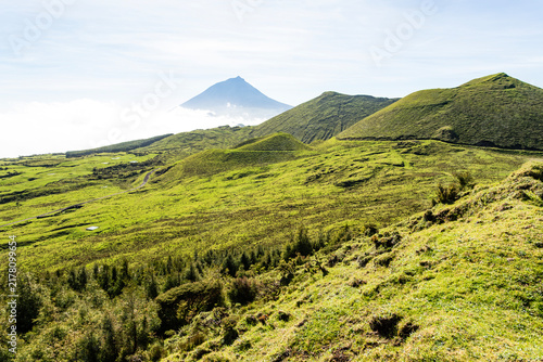 Landscape from Pico Island, Azores