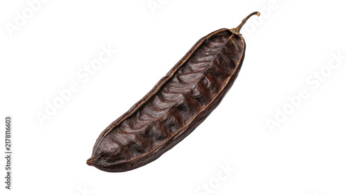 Obraz na plátne Single dark brown ripe carob pod fruit isolated on transparent background