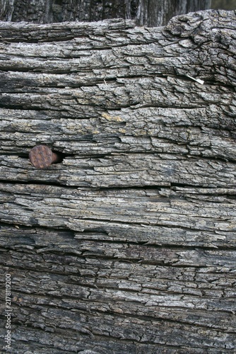 Cuadro en lienzo Vintage cracked wood plank background with rusty nail detail
