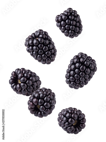 Fotografie Falling blackberries isolated on transparent background
