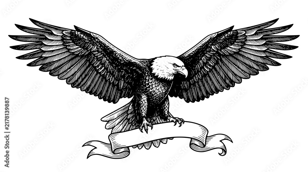 Fototapeta premium Detailed black and white vector illustration of an American eagle