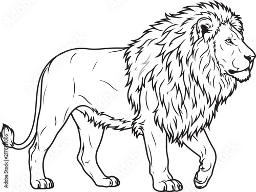 Minimalist outline illustration of a majestic barbary lion profile isolated on a clean white background