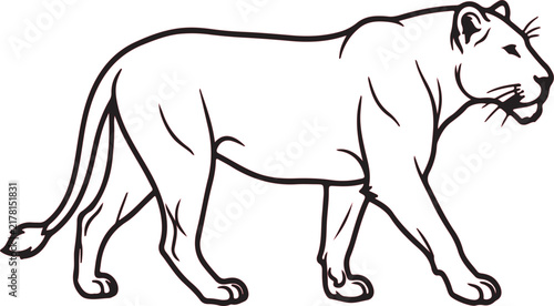 Stylized american lion vector outline illustration featuring bold lines for professional graphic design and creative projects