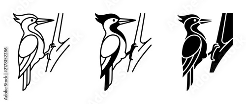 Woodpecker Icons Set, Bird Graphics, Nature Vector Art