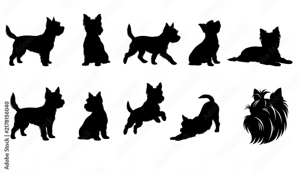 Fototapeta premium Yorkshire Terrier Dog Silhouette Collection Black Vector Illustration