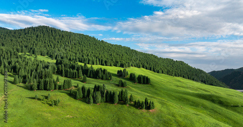 Fotografía Scenic mountain landscape with green meadows and coniferous forests in Altay, Xi
