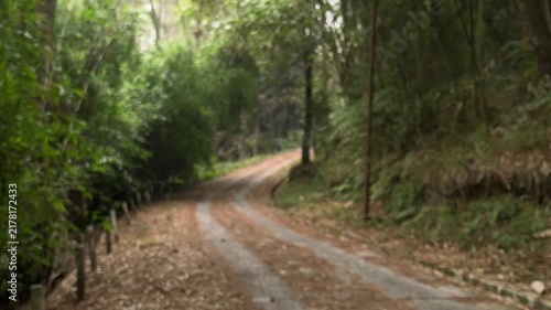 Blurred forest way in nature. Scenic hiking trail. Travel route through green forest. Trail in woodland. path for tourism. through green trees. Nature. street. cement, gray, gray. transportation.