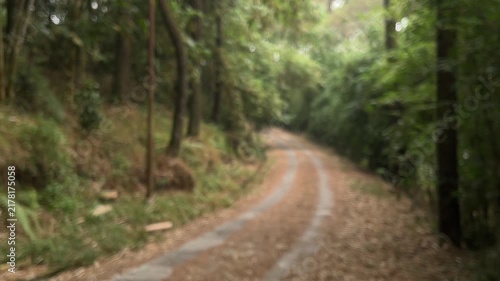 Blurred forest way in nature. Scenic hiking trail. Travel route through green forest. Trail in woodland. path for tourism. through green trees. Nature. street. cement, gray, gray. transportation.