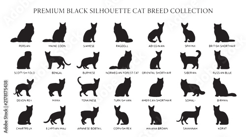 Fotografía Premium black silhouette cat breed collection, 28 feline vector icons, diverse d