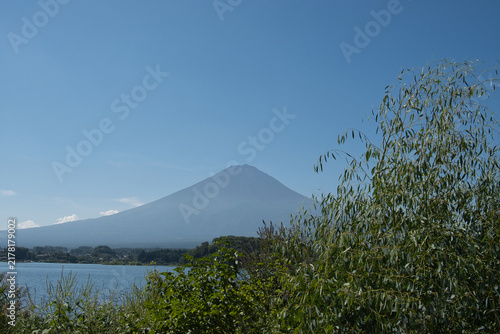 Obraz na płótnie 富士山