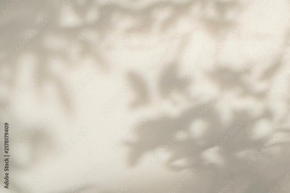 Obraz premium Light and shadow beige abstract blur background. Natural leaves shadows and sunshine diagonal refraction on white wall texture. Shadow overlay effect foliage mockup banner graphic layout