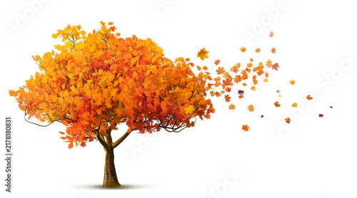 red autumn tree isolated with maple leaves falling, 3D illustration