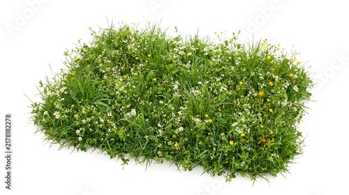 Fresh Green Grass Herb Plant Isolated on White Background, Natural Cress, Thyme and Parsley Leaves for Food, Spice, Seasoning, Gardening and Organic Nature Concepts