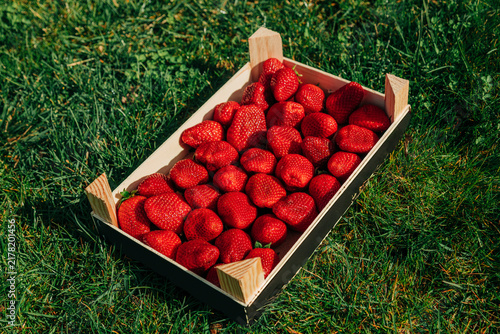 Wooden box filled with juicy ripe strawberries on green grass, top view, spring mood