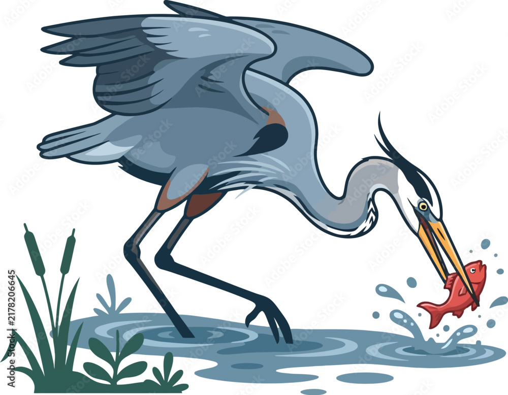 Fototapeta premium A majestic blue heron catching a fish in the water.
