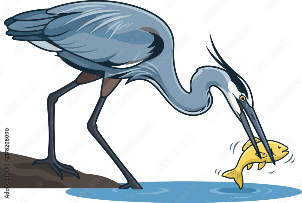 Fototapeta premium A blue heron catching a small yellow fish with its sharp beak.