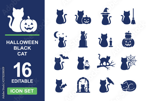 Spooky witch cat holiday dark glyph elements bundle