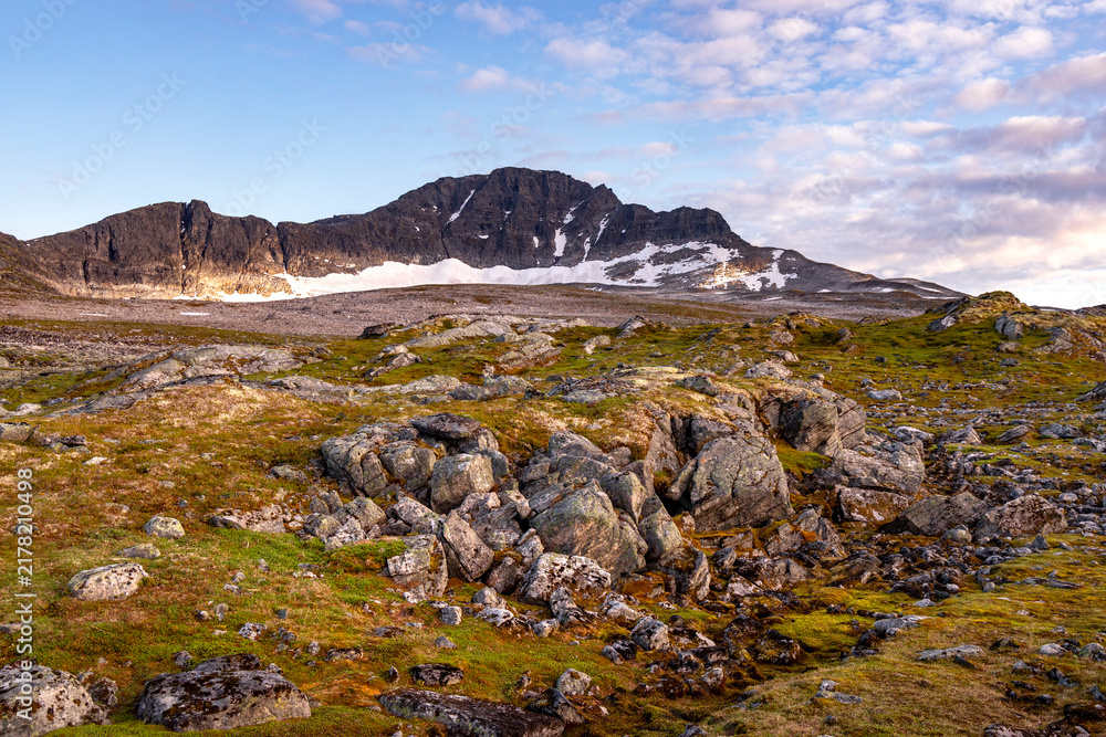 Obraz premium A small snow and ice spots high in the mountains during summer months. A summer scenery of World Heritage area in Western Norway.