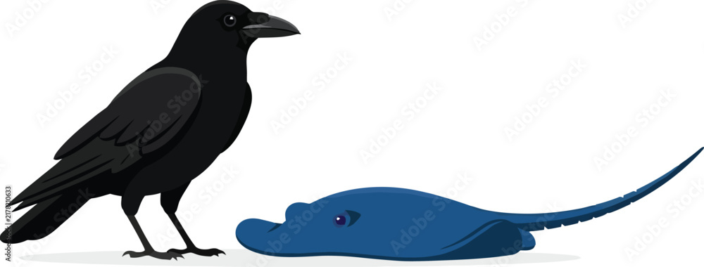 Obraz premium A black raven standing next to a blue stingray on a white background.