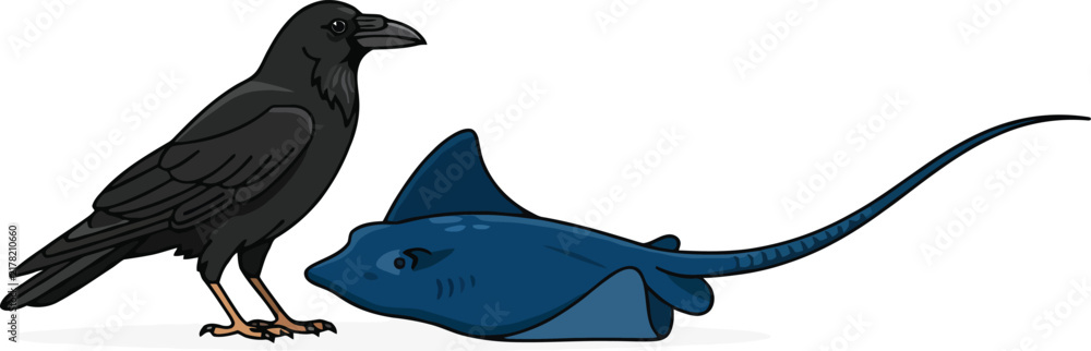 Obraz premium A black raven standing next to a blue stingray on a white background.