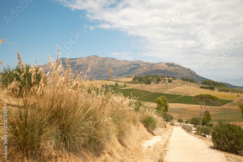 Scenic view of a rural dirt path through the dry Sicilian landscape with mountains and vineyards near Segesta, Sicily, Italy