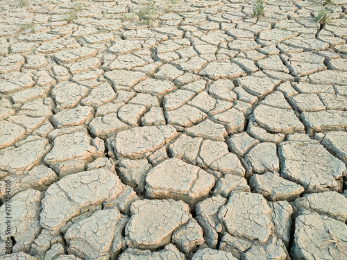 Фотография Parched, cracked earth surface under dry conditions