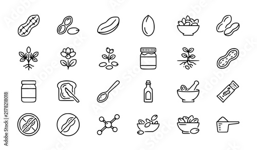 24 Premium Peanut Nut Food Linear Pictogram Icons