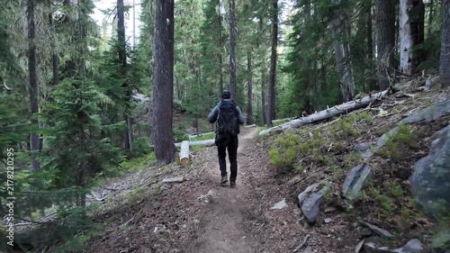 4K smooth stabilized action camera footage of a lone hiker with a large backpack hiking the famous Pacific Crest Trail in dense evergreen forest of Diamond Peak Wilderness, Oregon, USA  