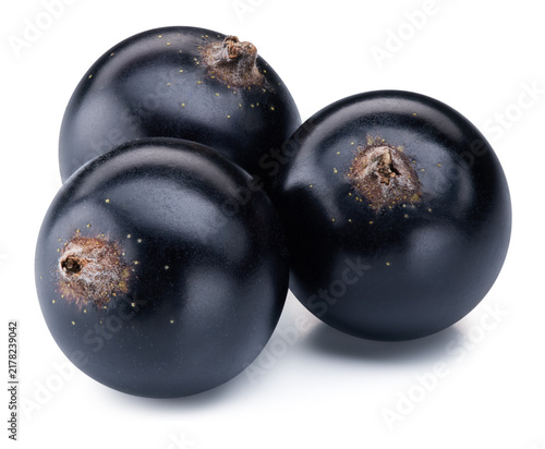 Organic black currant three berries close up. Black currant fruits isolated on white background with clipping path