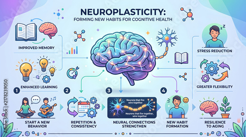 Brain infographic explaining neuroplasticity and habit formation features colorful diagrams and icons.