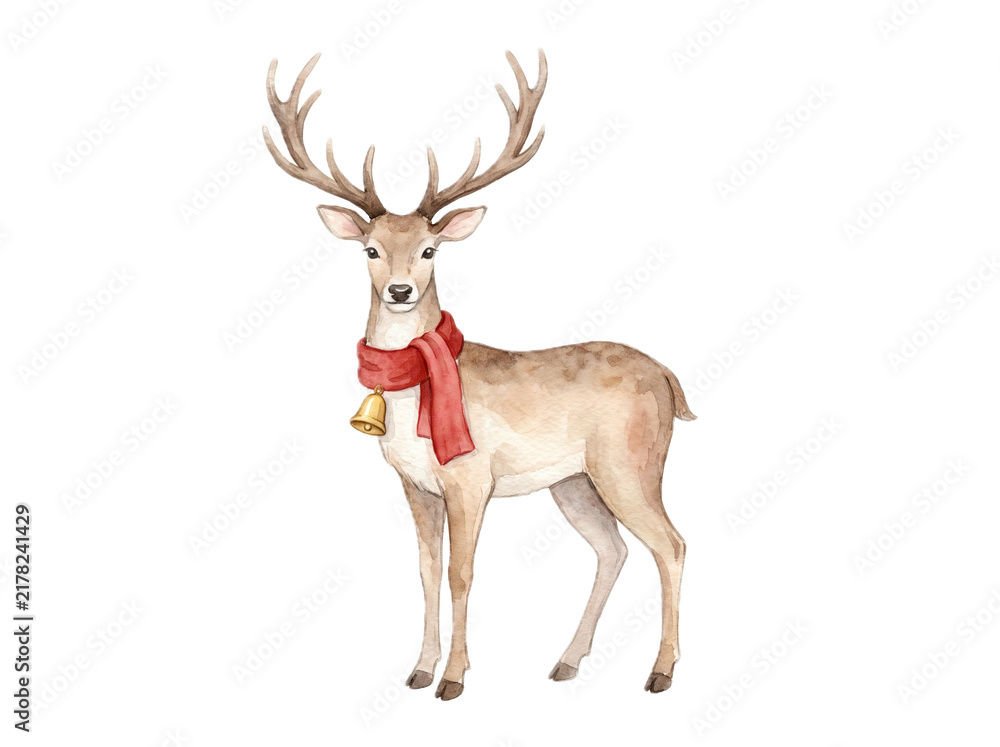 Obraz premium deer isolated on white background