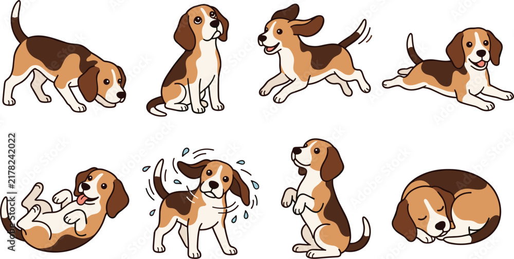 Obraz premium Cute cartoon beagle puppy character set in different playful poses isolated vector illustration for children book design