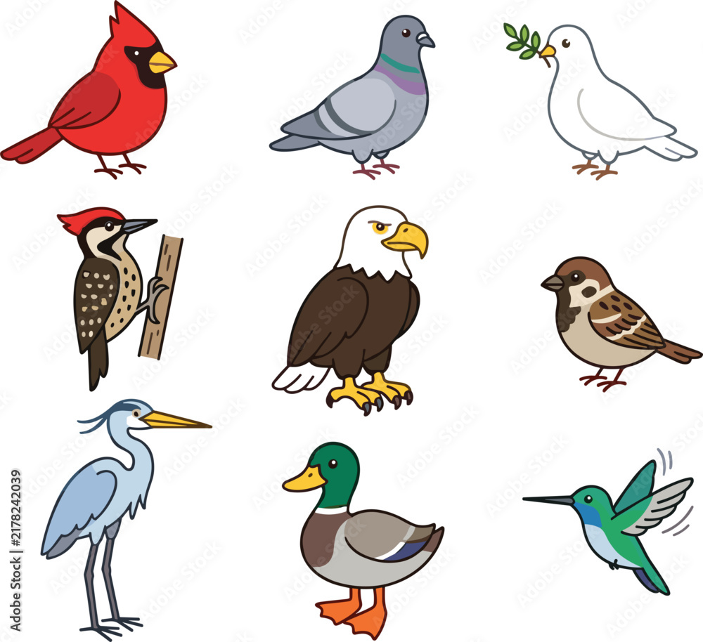 Fototapeta premium Cute birds vector cartoon character set featuring various wild bird species including eagle cardinal dove pigeon duck sparrow heron woodpecker and hummingbird
