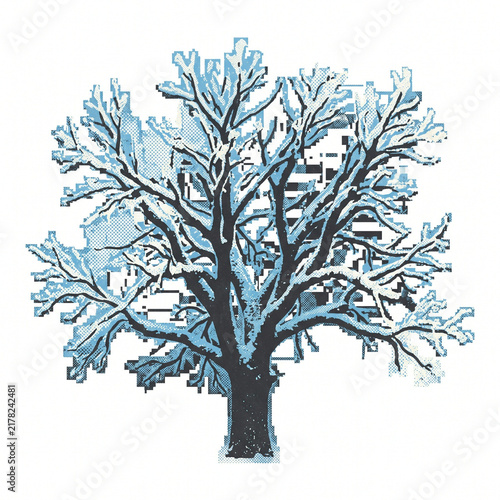 Snow-covered tree with bare branches against a white background  