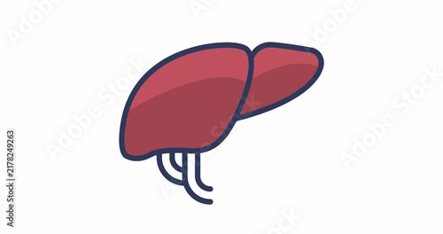 Liver icon animation, swinging simple line icon of liver, footage