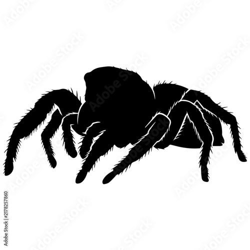 Jumping spider silhouette icon, black arachnid vector graphic for nature design projects.