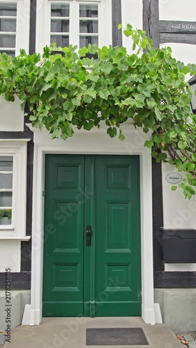 Green Double Door Beneath Grapevine on Half-Timbered House