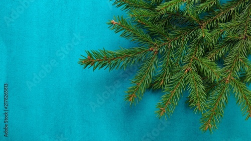 Konstfotografi Green spruce branches hang over a blue background, evergreen foliage, natural winter border, botanical background