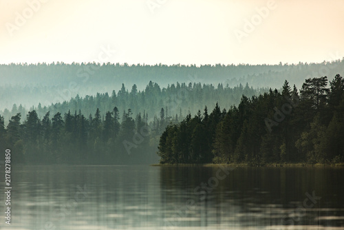 Golden Morning Light Over a Tranquil Forest Lake
