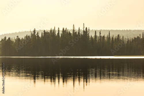 Misty morning on the lake