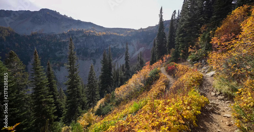 Maple Pass Loop trail winding through golden fall alpine color